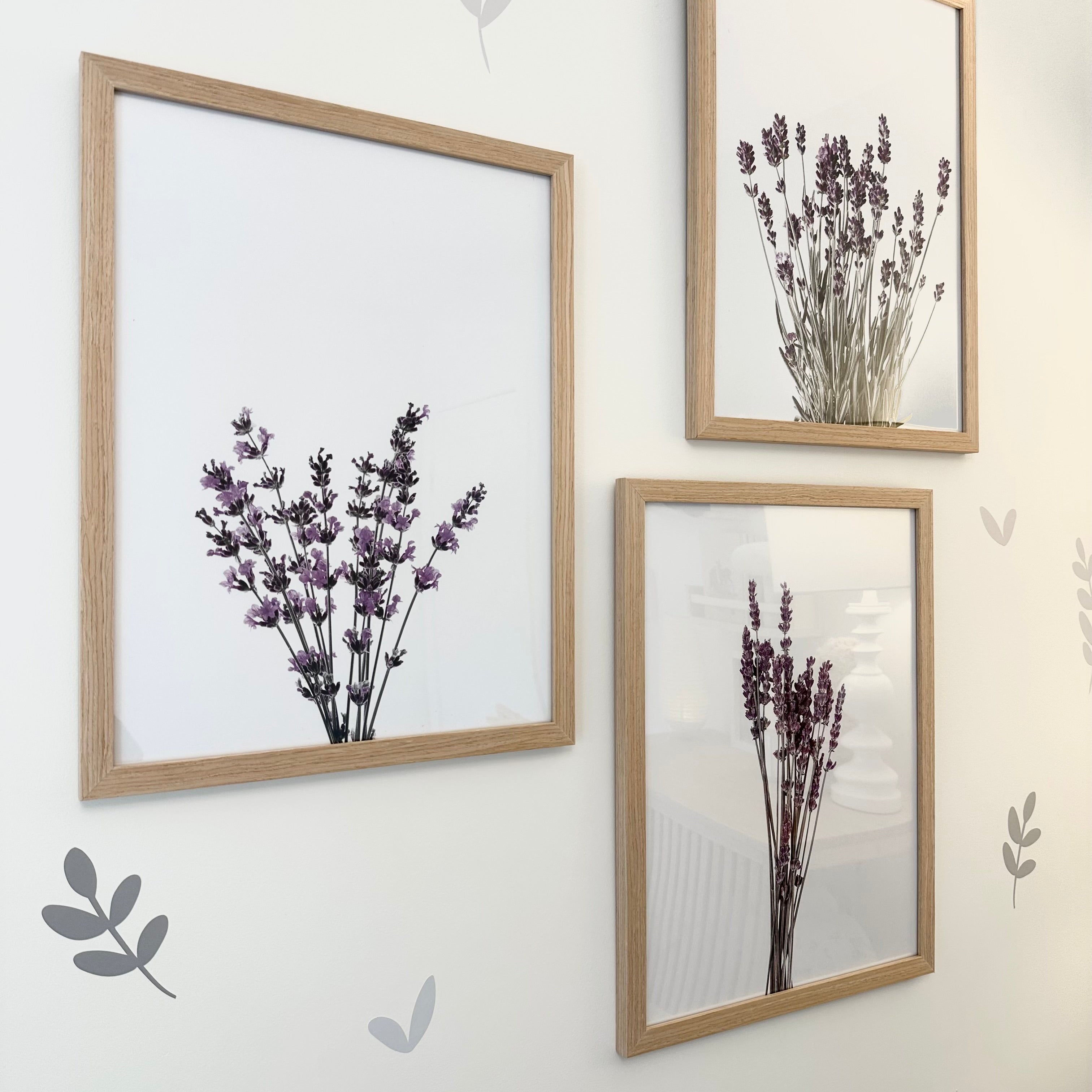 Ensemble Lavande et Lapins