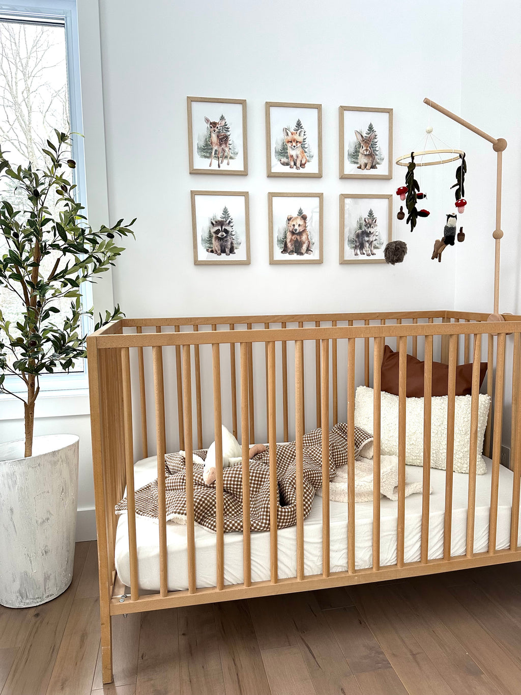 Animaux de la forêt