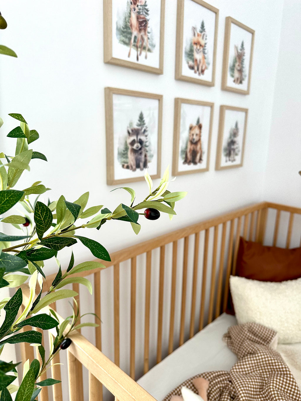 Animaux de la forêt