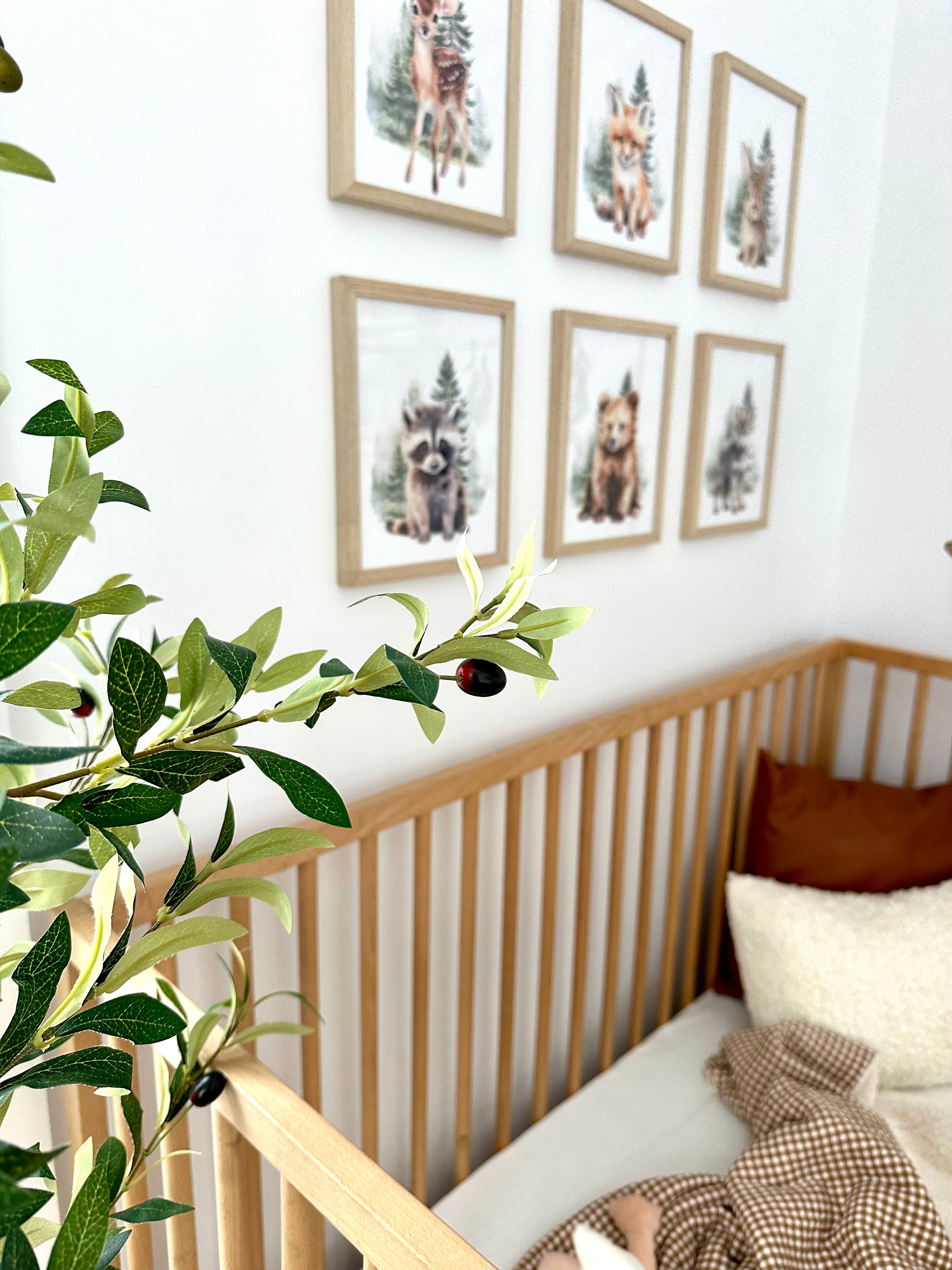 Animaux de la forêt