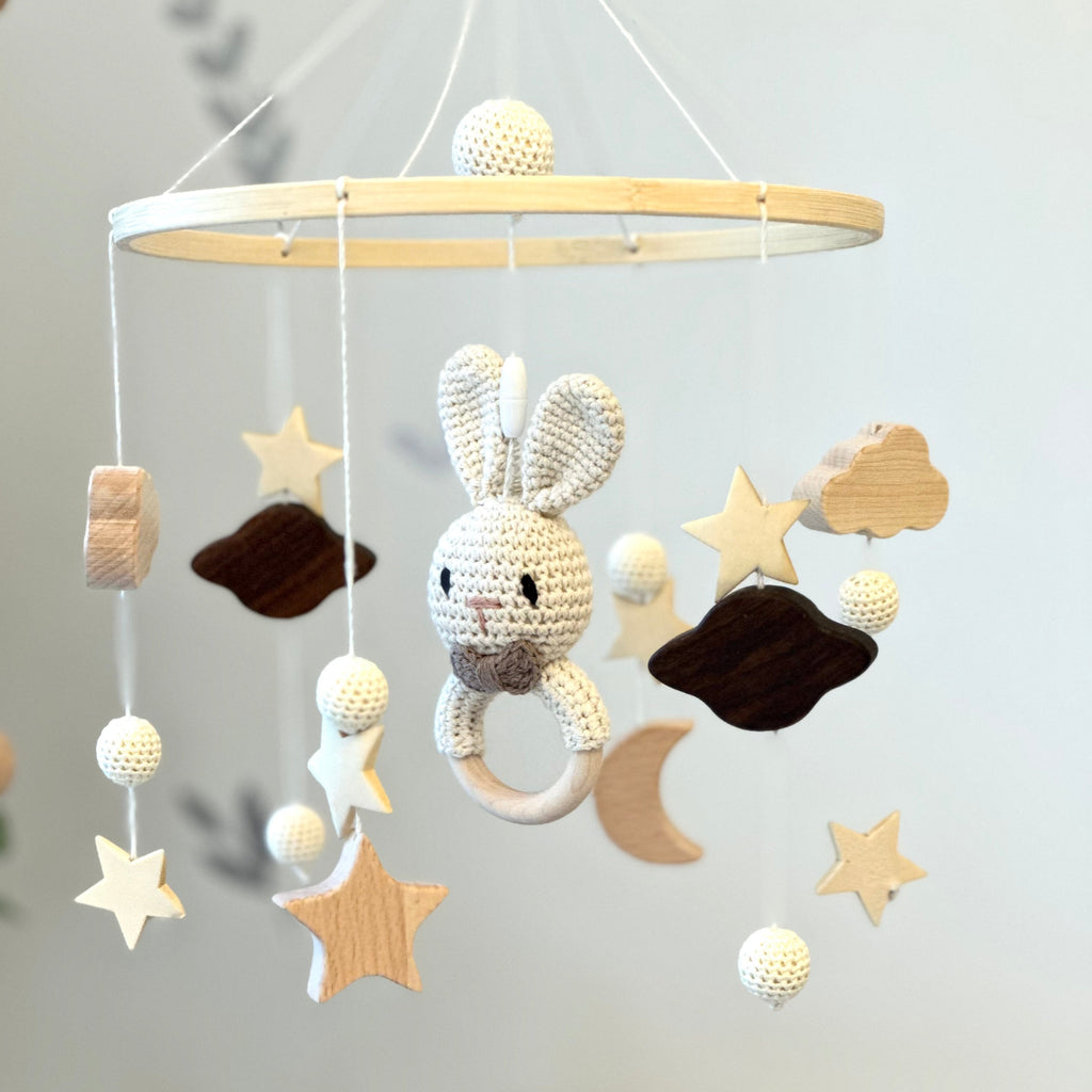 Ensemble Lavande et Lapins