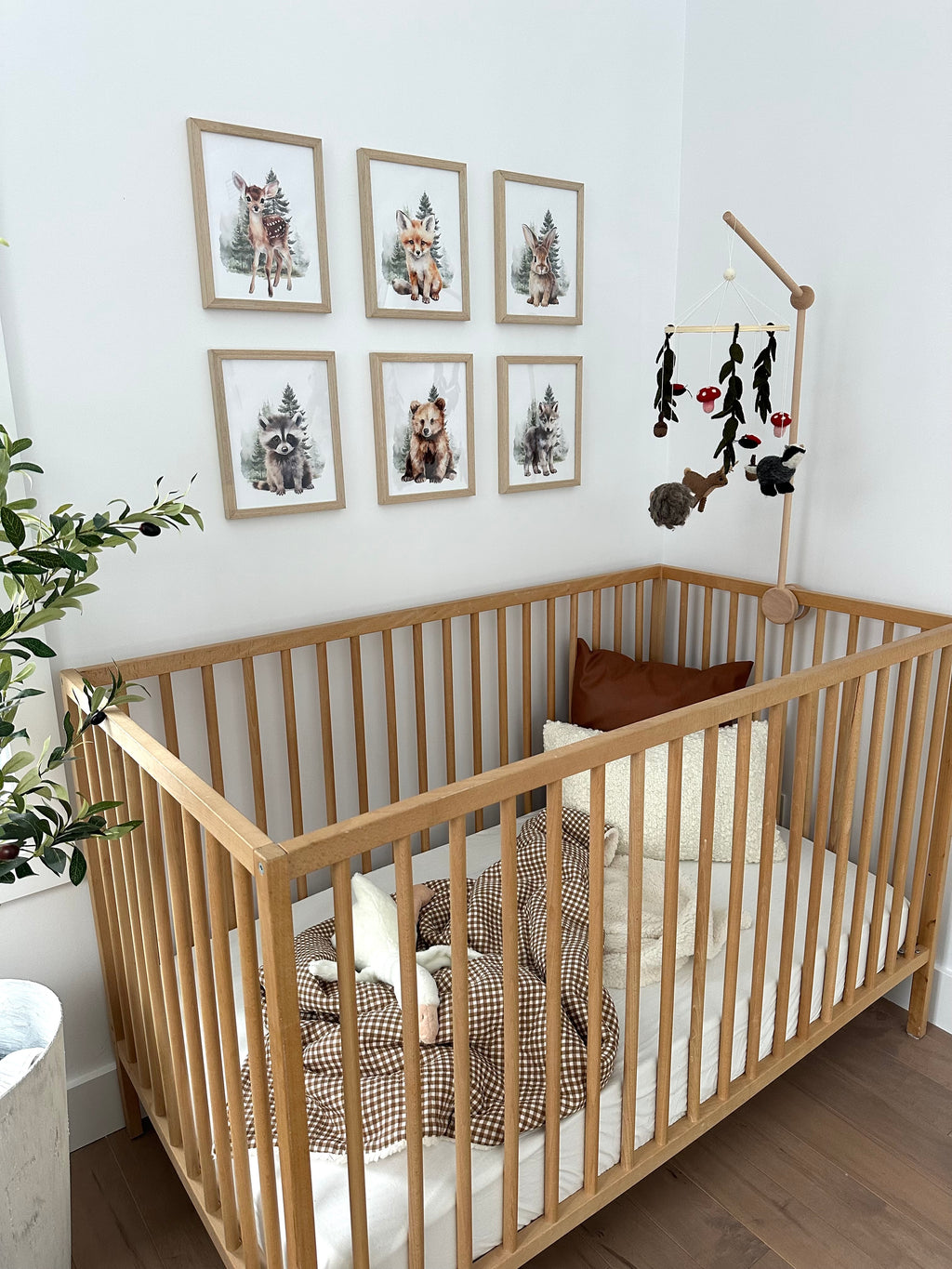 Animaux de la forêt