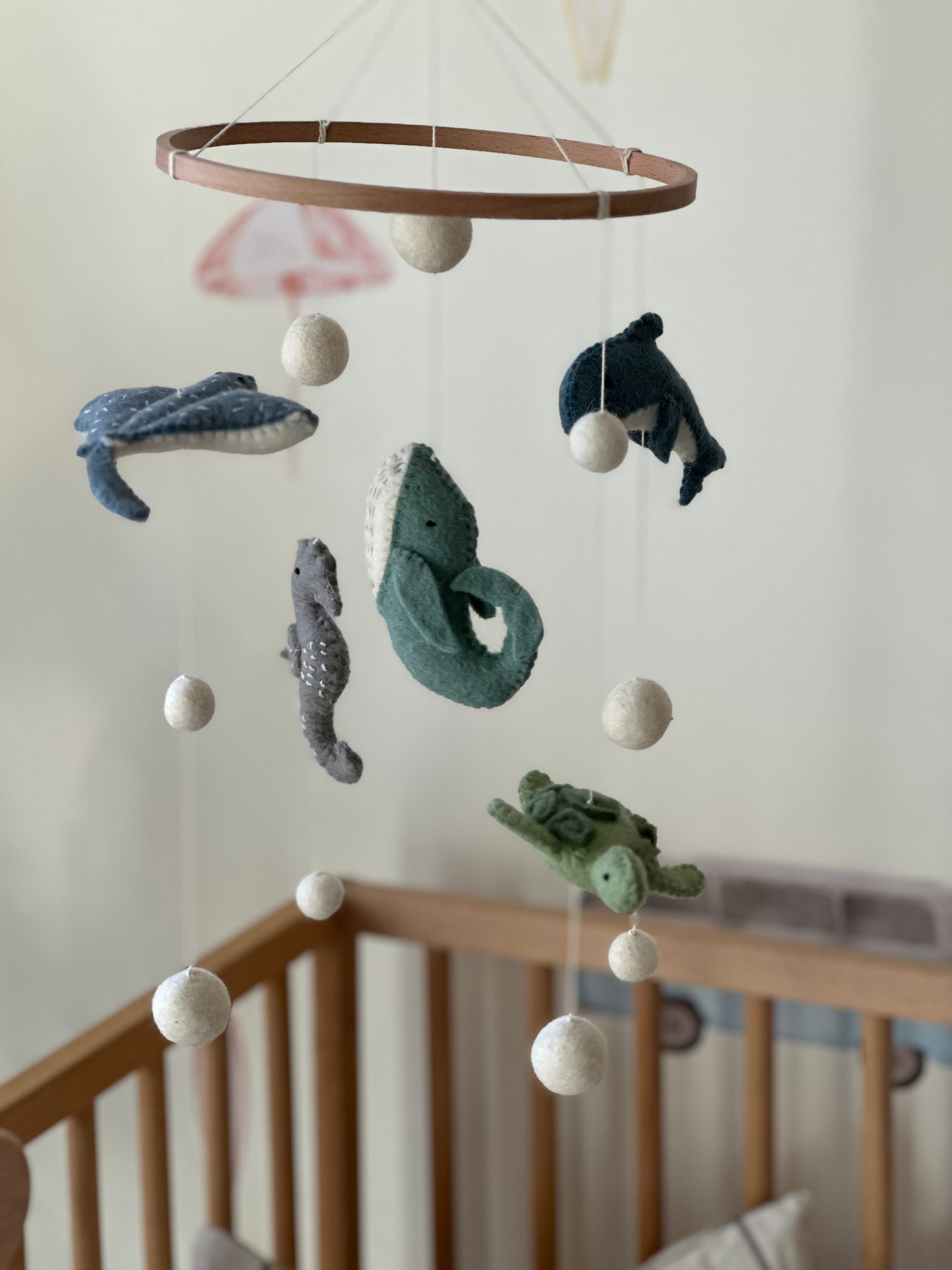 Ensemble Mini Surfeur