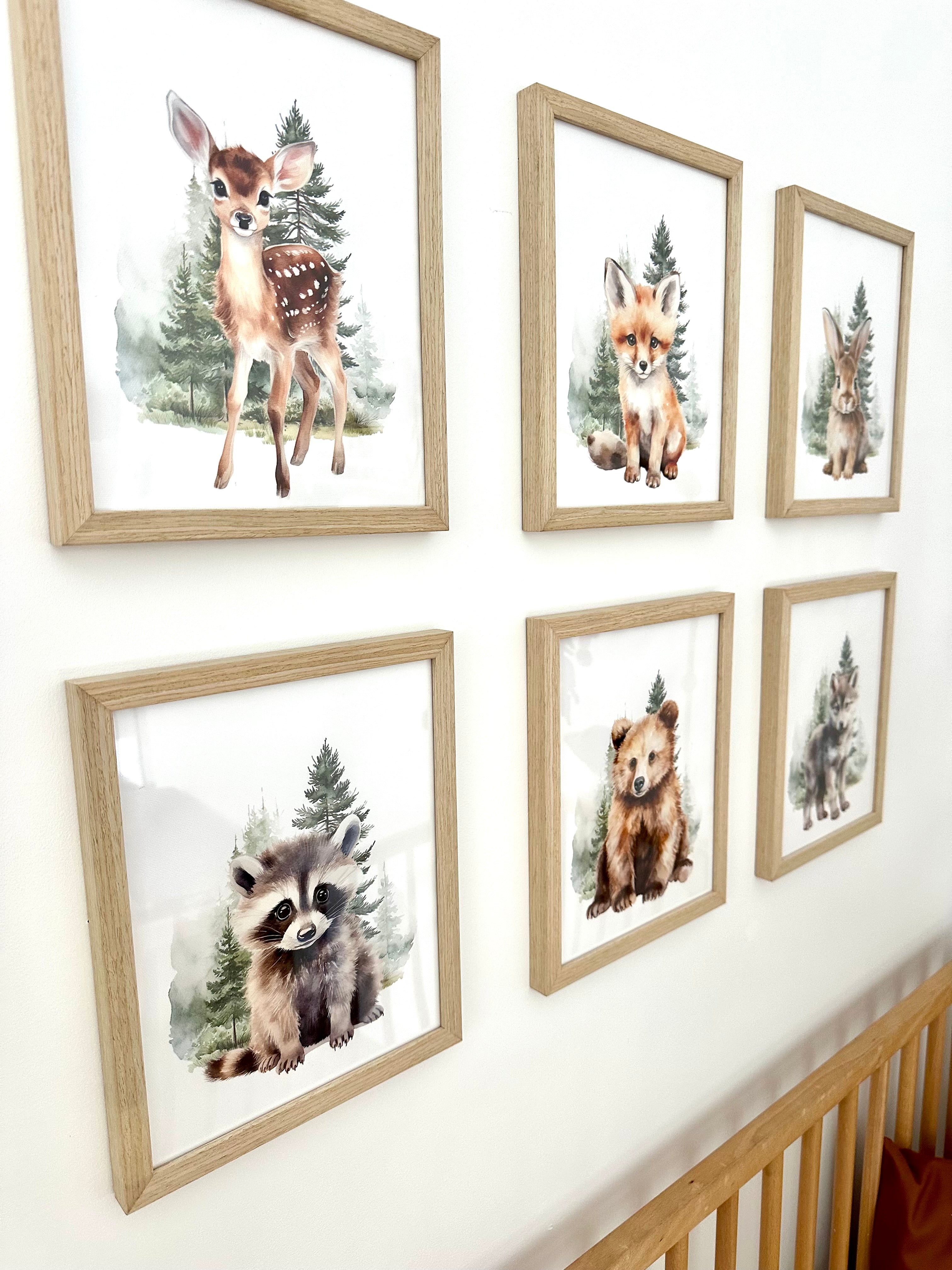 Animaux de la forêt