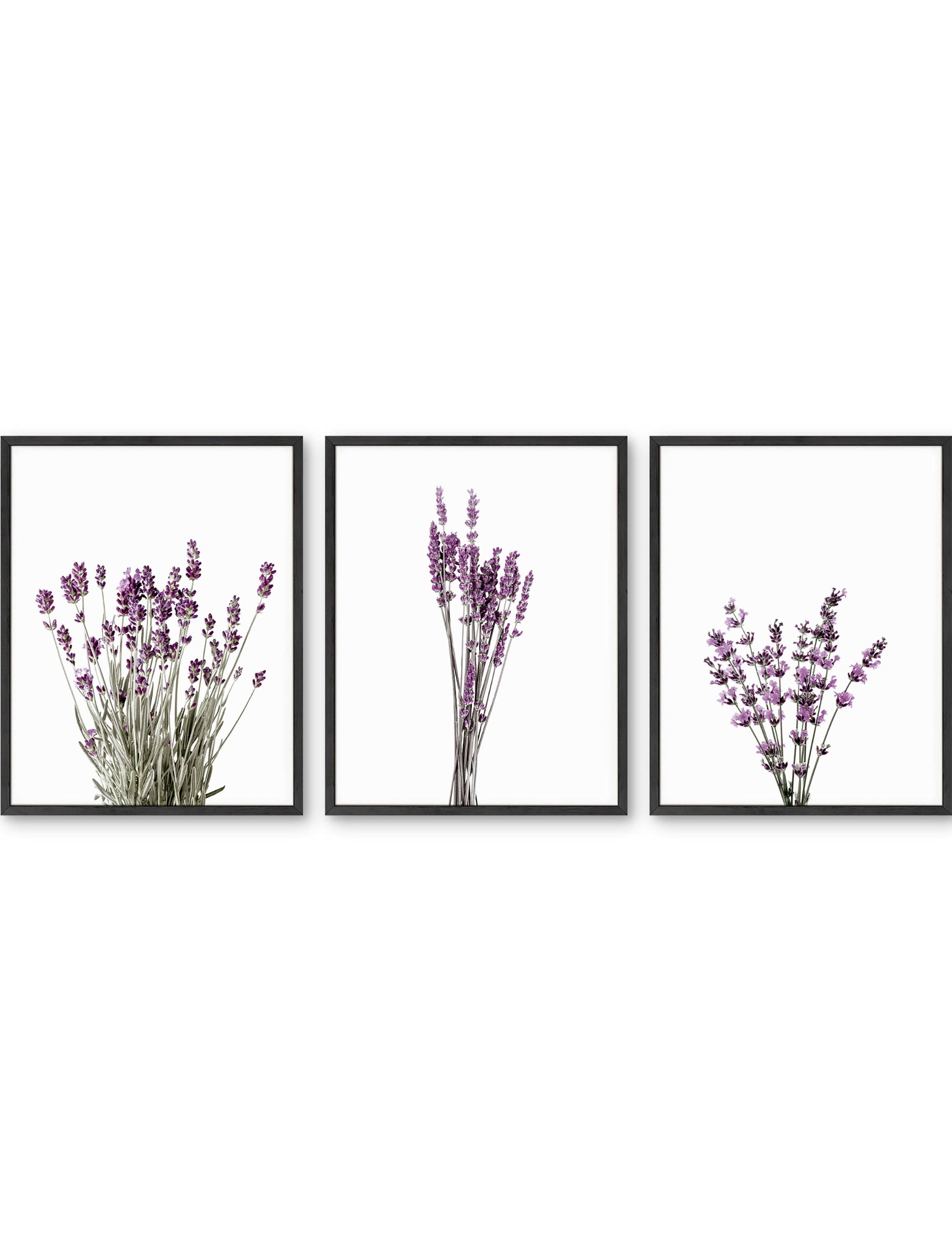 Cadres douces lavandes - Ensemble de 3